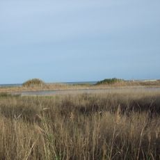 Paraje natural del estuario del río Guadiaro