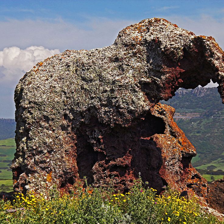 Elephant Rock