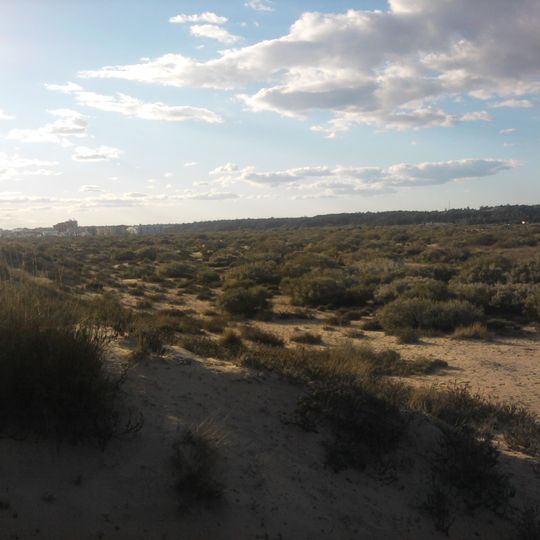 Paraje Natural Marismas del Río Piedras y Flecha de nueva umbria
