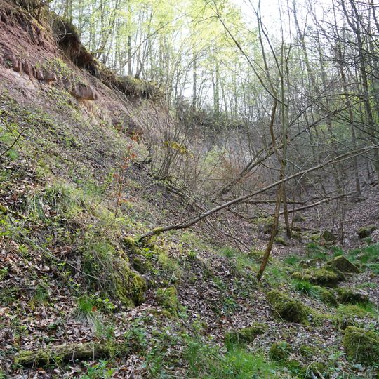 Steinbruchwand Bei den Forchen