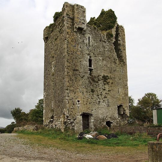 Moycarkey Castle