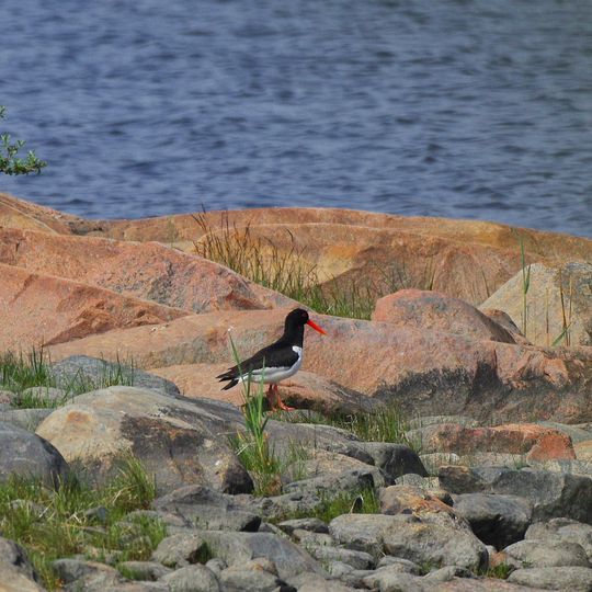 Häverö prästäng nature reserve