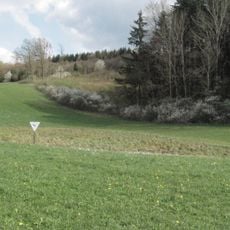 Feuchtgebiet Buchenschnäue