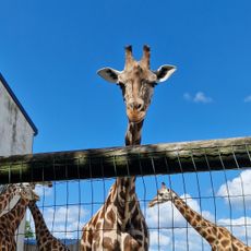 Natur'Zoo de Mervent