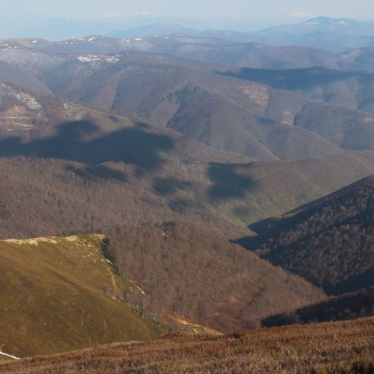 Приборжавський заказник