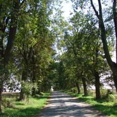 Stromořadí u Dvorku