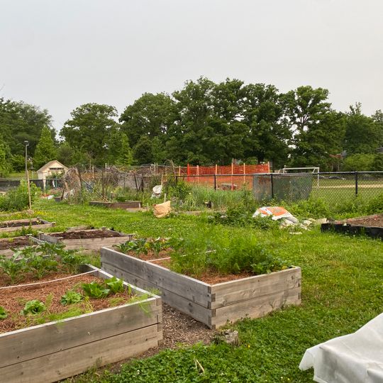 Takoma Community Garden