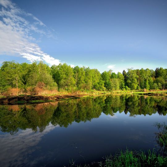 Zavidovo National Park