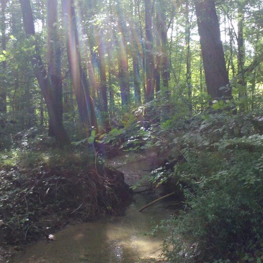 Schutz von Landschaftsteilen im Isartal zwischen Icking und Königsdorf