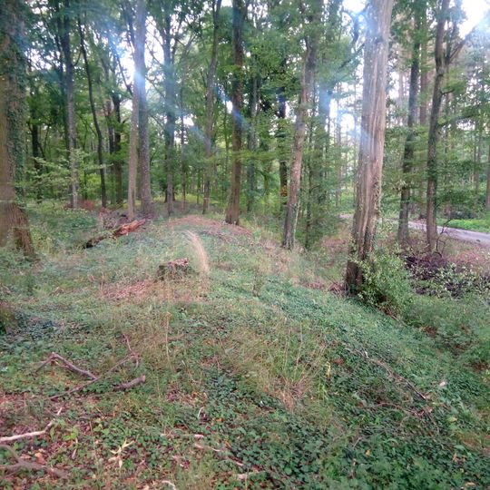 Keltische Viereckschanze Bütthard