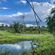 Parco nazionale di Bia