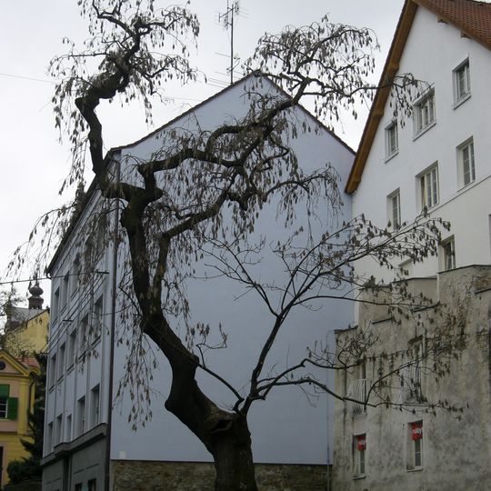 Jasan u Krombergerova pavilonu
