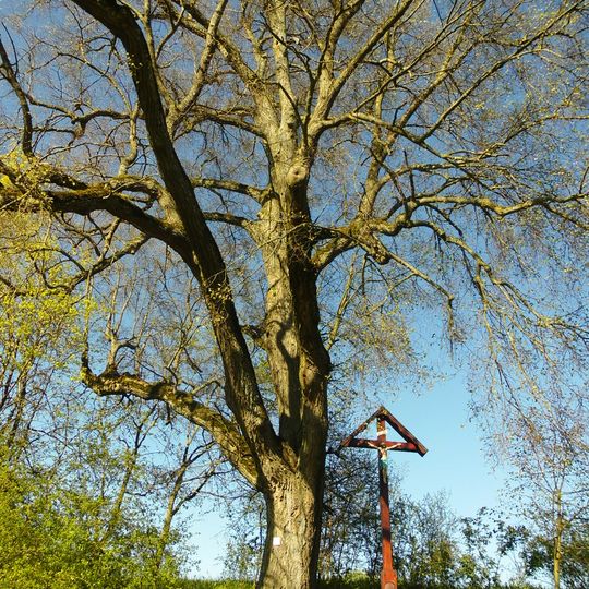 2 Linden beiderseits eines Kreuzes