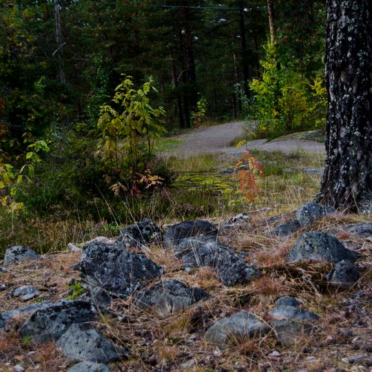 Skellefteå stad 25:1