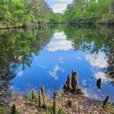 River Rise Preserve State Park