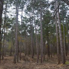 Kettle Moraine State Forest - Southern Unit at Whitewater Lake