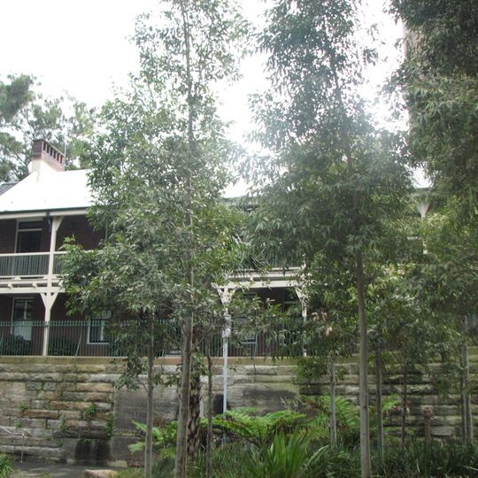 18-20a Munn Street, Millers Point