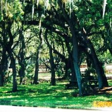 Philippe Park