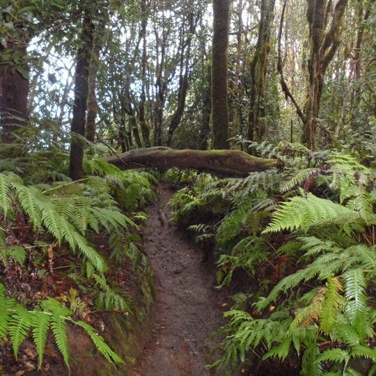 Reserva natural integral del Pijaral