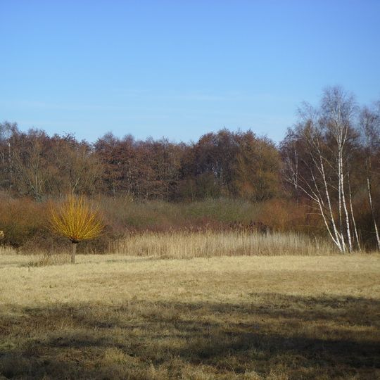 Riedwiesen bei Niederursel