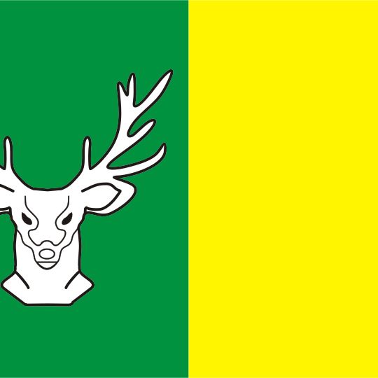 Raión de Oleksandrivka