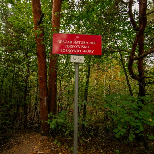 Torfowisko Sosnowiec-Bory