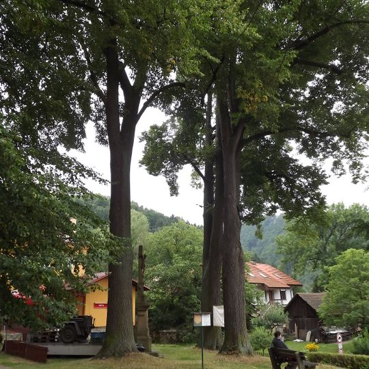 Stromy u sv. Vavřince