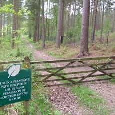 Whinfell Forest