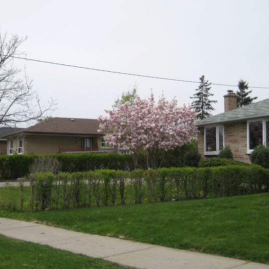 Rexdale