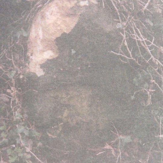 Milestone At Ngr St 6944 2654