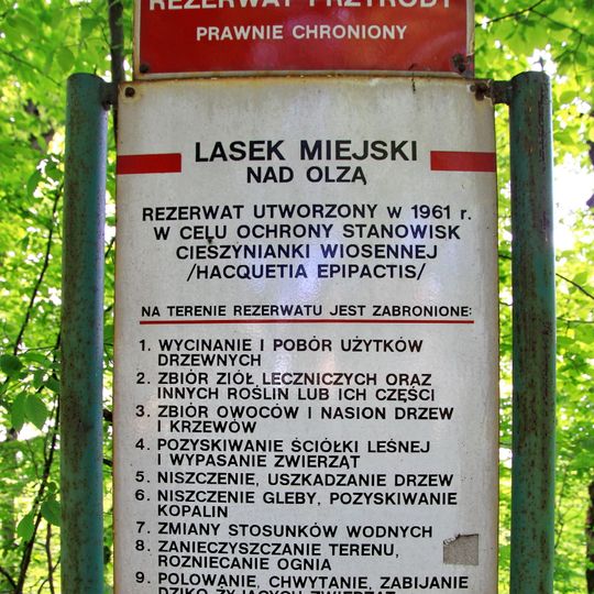 Rezerwat przyrody Lasek Miejski nad Olzą