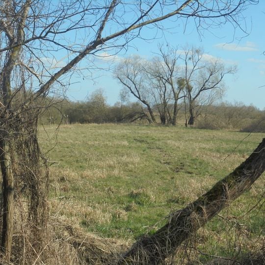 Nördlicher Drömling