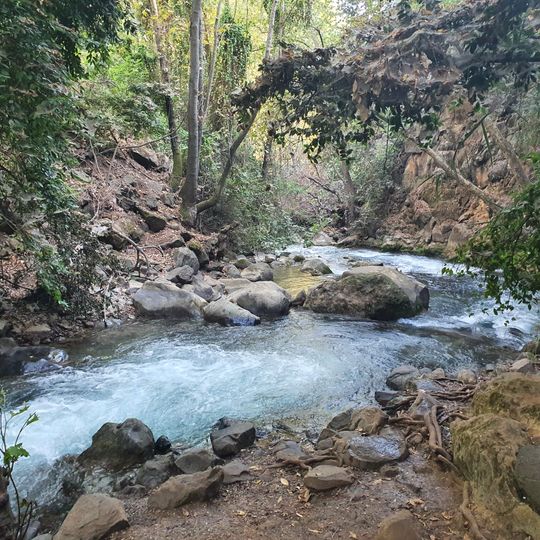 Upside Down Syrian Tank