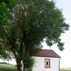 Naturdenkmal 3 Linden Schweinberger Straße