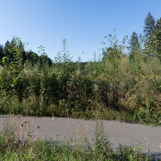 Hügelgräbergruppe Laach-Wasserwerk