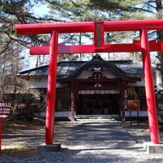 Funatsu Lava Tree Molds