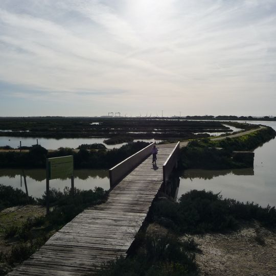 Sendero del Pinar de la Algaida