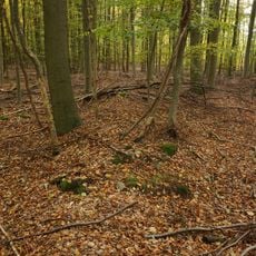 Großsteingrab Sachsenwald Fahrenhorst 2