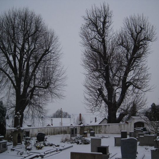 Ctiněves - lípa malolistá a jírovec maďal