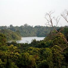 Central Catchment Nature Reserve