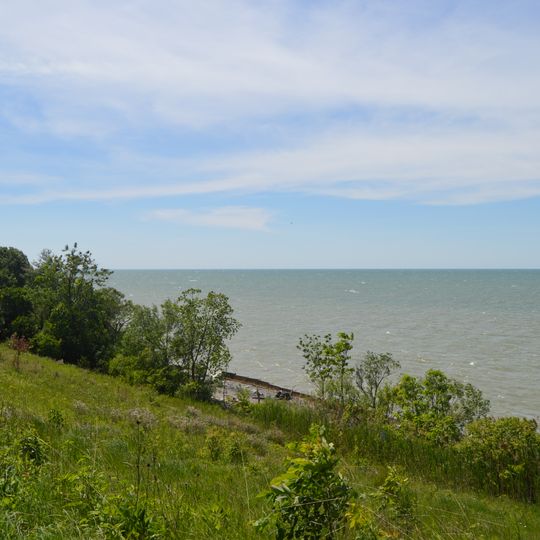 Willowick