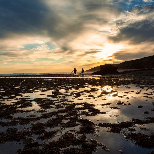 Port Phillip Heads Marine National Park
