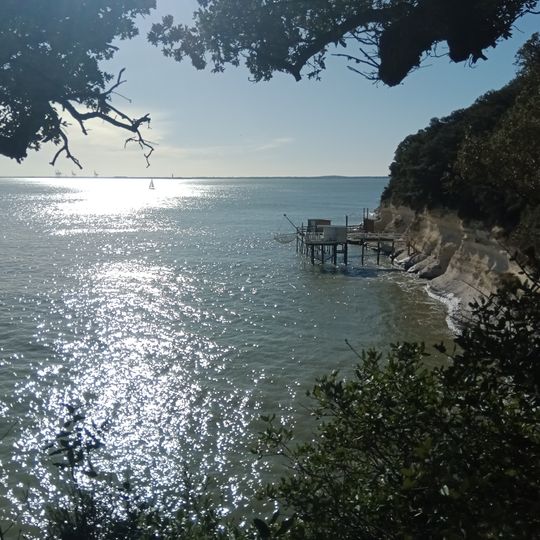 Punto di vista panoramico