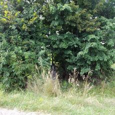 Kříž východně od Budislavi