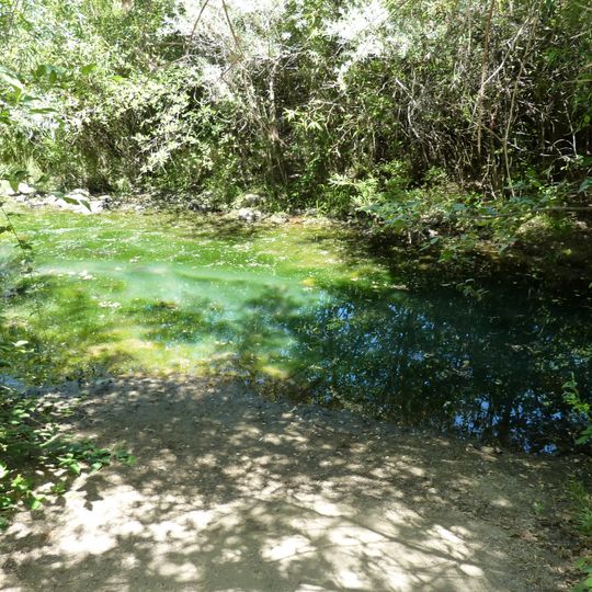 Marshall Gold Discovery State Historic Park