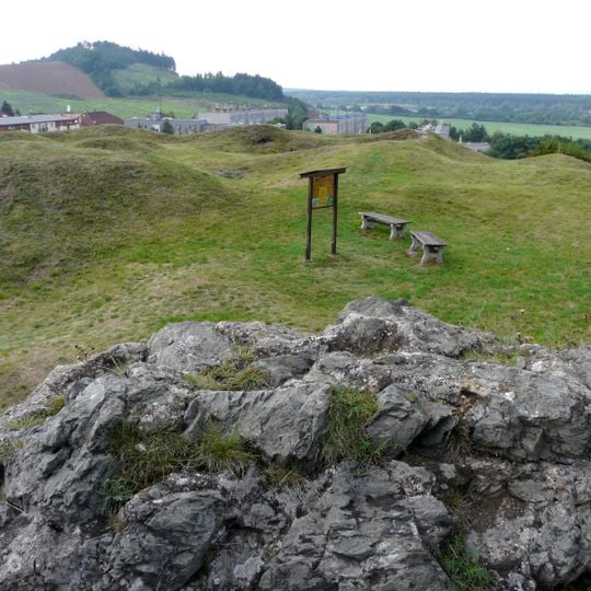 Castle Litice by Plzeň