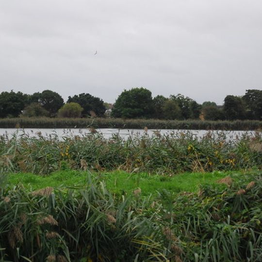 Woodberry Wetlands