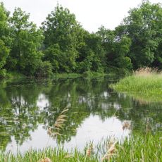 Donaualtwasser bei Leitheim