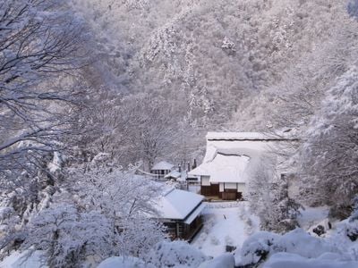 Winter 1