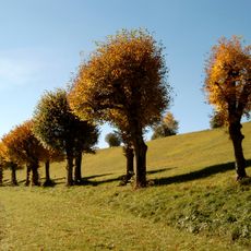 Johannishügel Tutzing